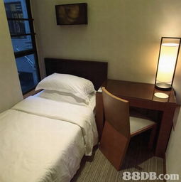 逸東軒豪華住寓 靈活多樣的長短住宿服務